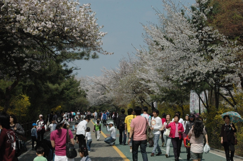 서울시, “사계절 문화예술축제 공원에서 즐겨요”