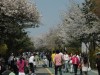 서울시, “사계절 문화예술축제 공원에서 즐겨요”
