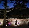궁중문화축전을 비롯 궁중행사 영상‧사진 콘텐츠 온라인 공개